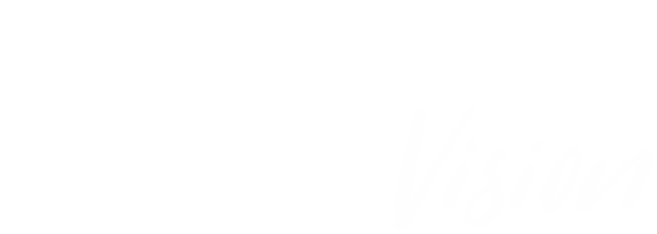 Logo DSG Vision